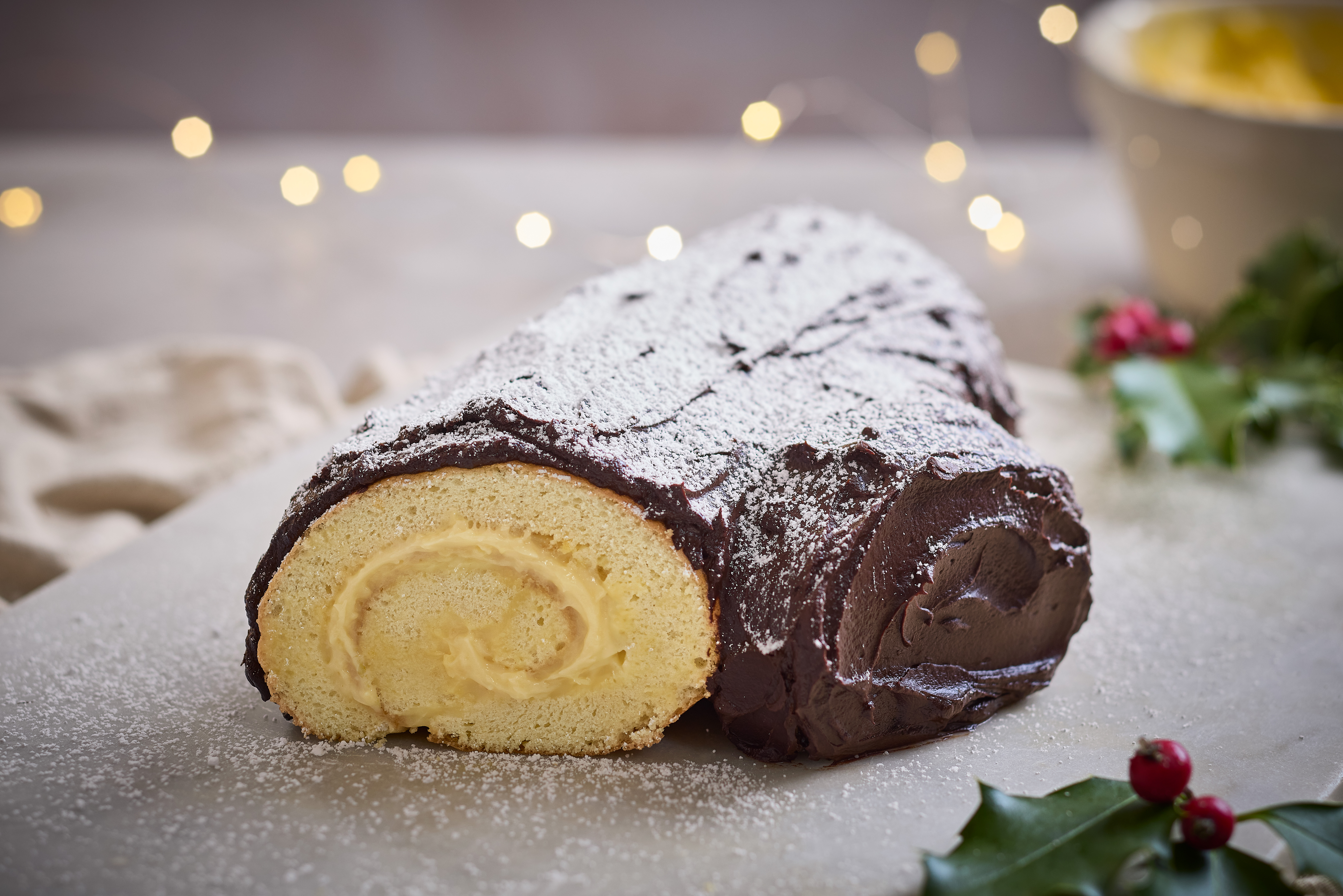Yule Chocolate Log